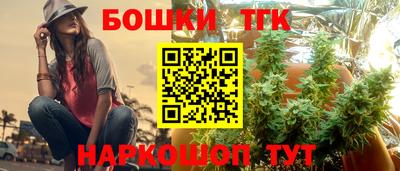 хмурый Дубна