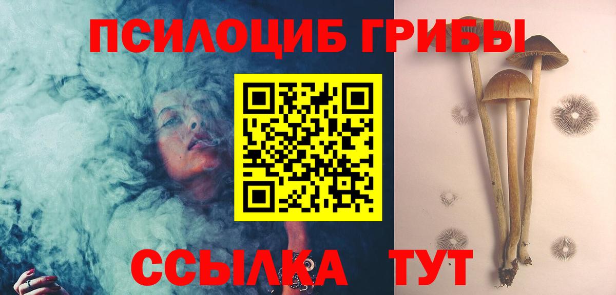 Псилоцибиновые грибы Psilocybine cubensis Михайловка