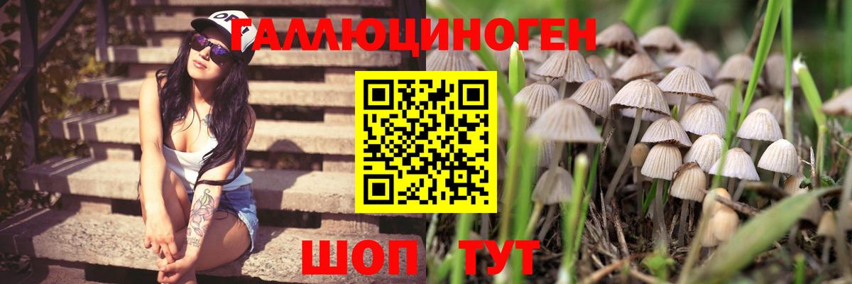 Михайловка  Галлюциногенные грибы GOLDEN TEACHER  Вход с VPN 